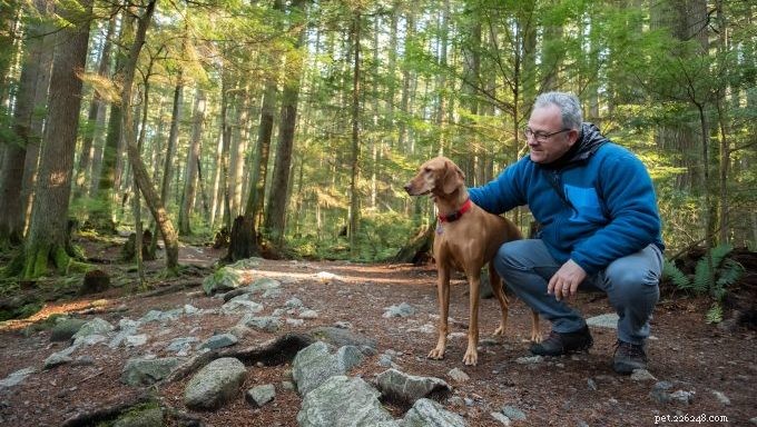 How Nature Walks Boost Your Dog’s Health & Happiness