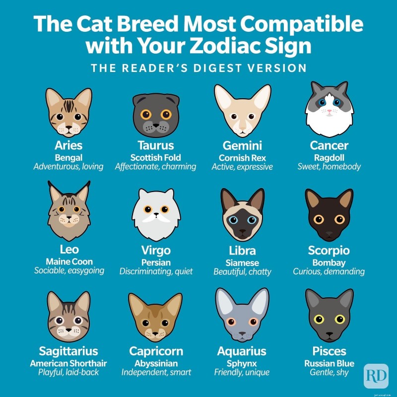 Match Your Zodiac Sign to the Ideal Cat Breed