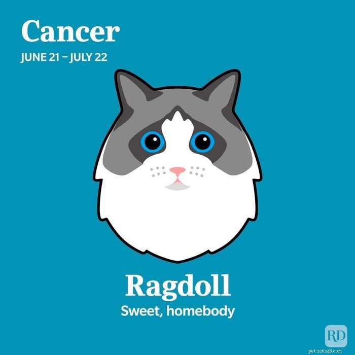 Match Your Zodiac Sign to the Ideal Cat Breed