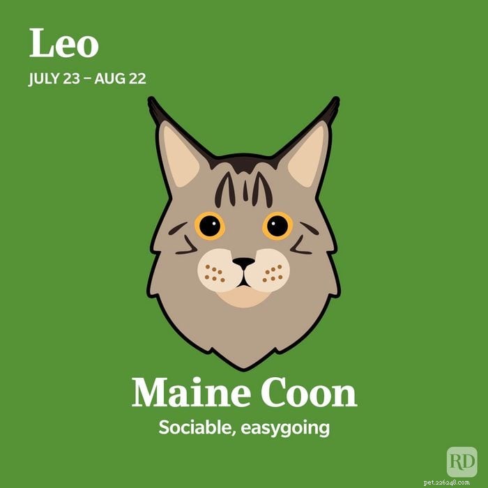 Match Your Zodiac Sign to the Ideal Cat Breed