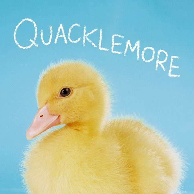 151 Perfect Pet Names for Dogs, Cats & All Your Furry Friends