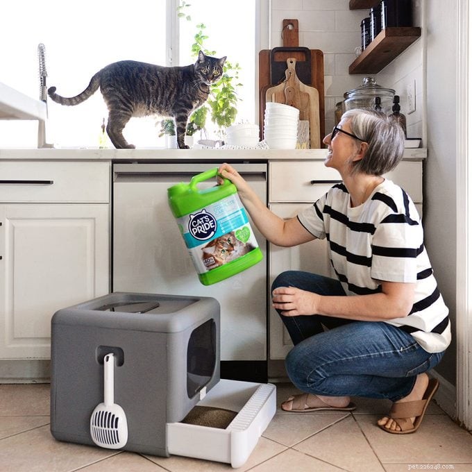 7 Expert Ways to Ensure Your Cat’s Happiness and Health