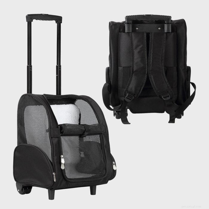 Top 5 Cat Carrier & Bubble Backpacks for Hands‑Free, Stress‑Free Travel with Your Feline