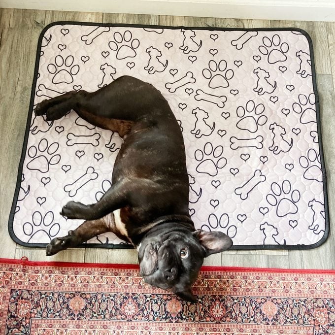 Pupiboo Reusable Puppy Pads: An Honest Review From a Loyal Pet Owner