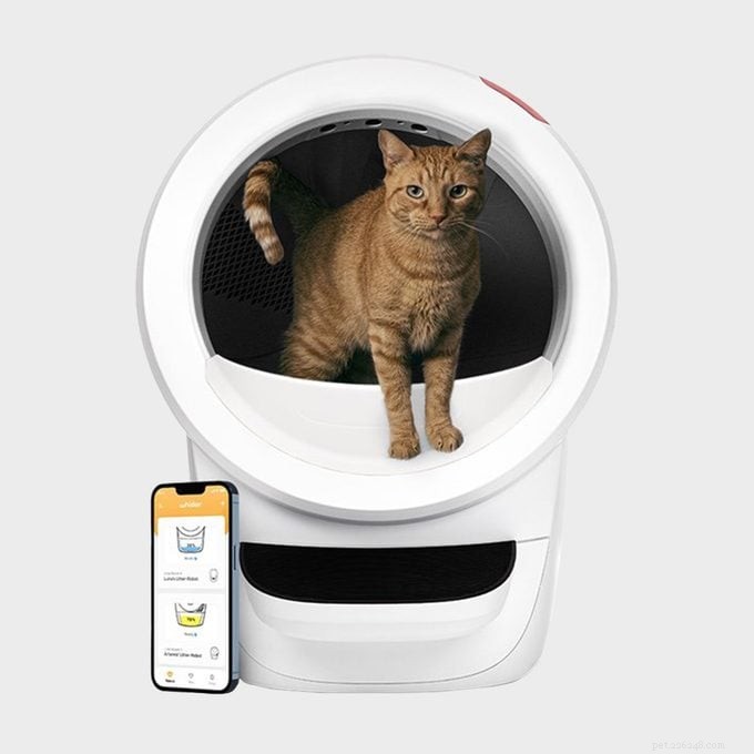 Whisker Litter‑Robot 4: Is the $700 Investment Worth It? A Comprehensive Review