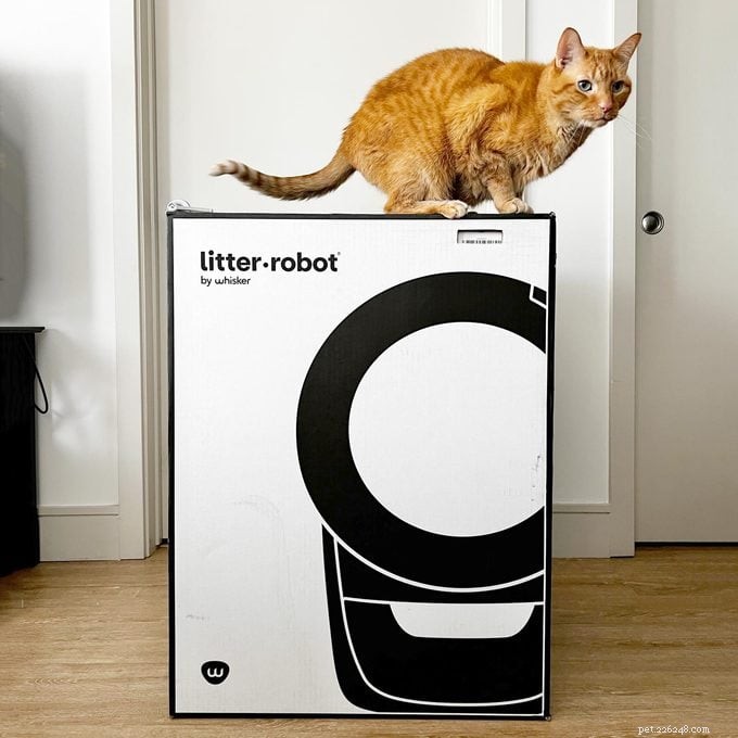 Whisker Litter‑Robot 4: Is the $700 Investment Worth It? A Comprehensive Review