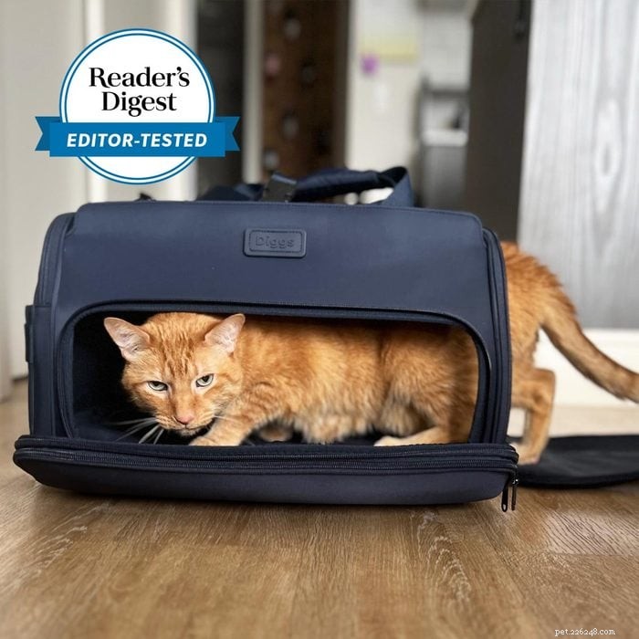 Top 7 Cat Carriers for Safe, Stress‑Free Travel