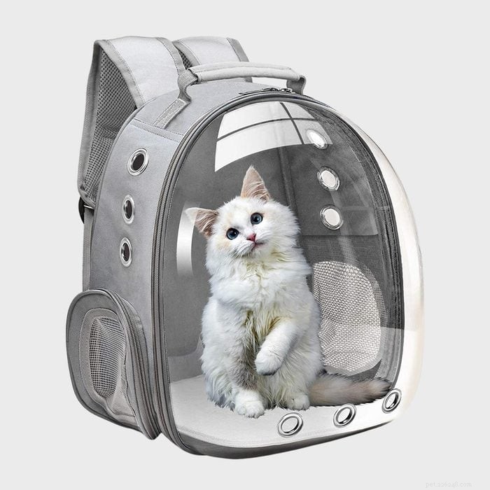 Top 7 Cat Carriers for Safe, Stress‑Free Travel