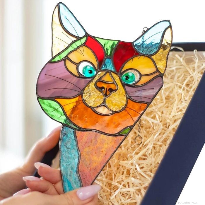 48 Must‑Have Gifts for Cat Lovers & Feline Fans: Stylish Accessories, Cozy Beds & Interactive Toys