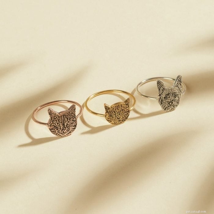 48 Must‑Have Gifts for Cat Lovers & Feline Fans: Stylish Accessories, Cozy Beds & Interactive Toys