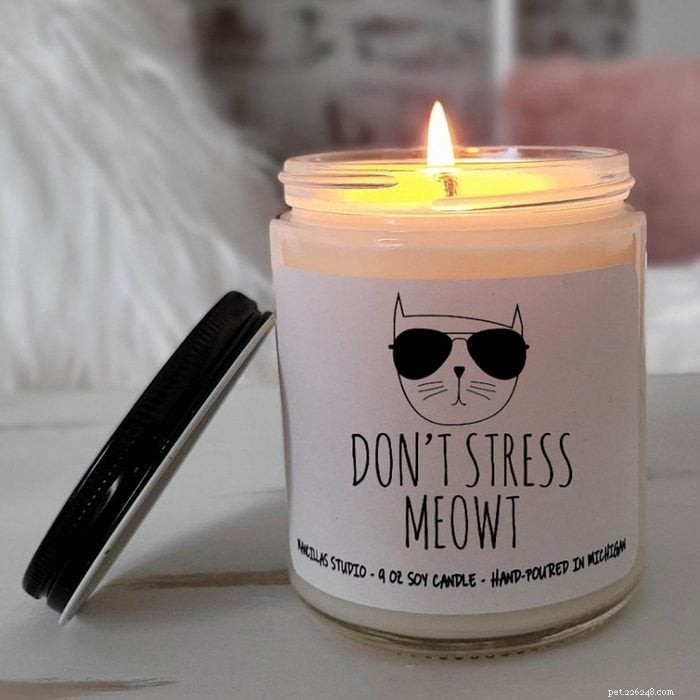 48 Must‑Have Gifts for Cat Lovers & Feline Fans: Stylish Accessories, Cozy Beds & Interactive Toys