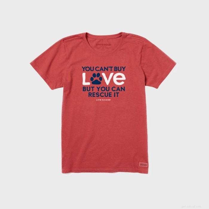 48 Must‑Have Gifts for Cat Lovers & Feline Fans: Stylish Accessories, Cozy Beds & Interactive Toys
