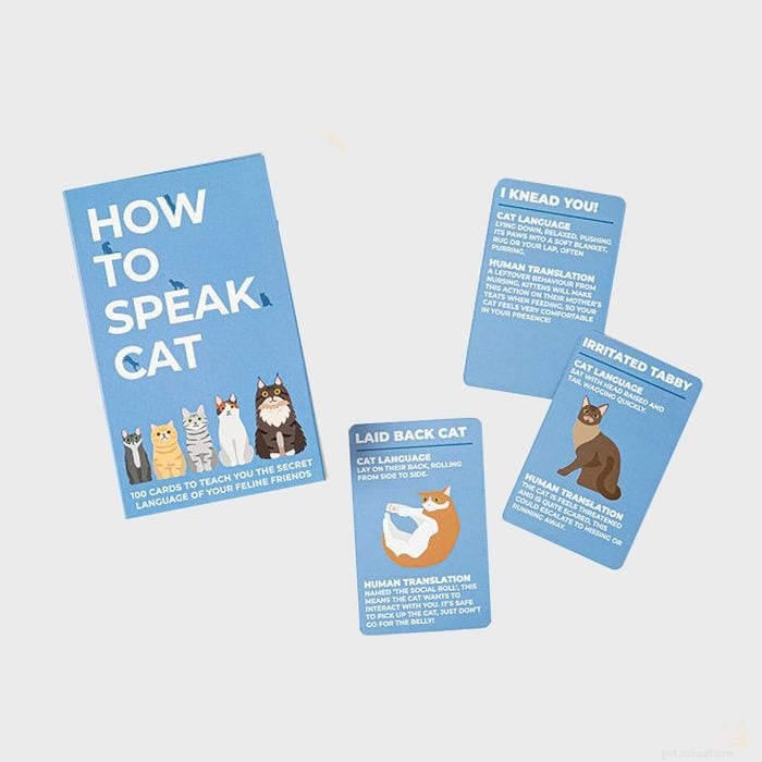 48 Must‑Have Gifts for Cat Lovers & Feline Fans: Stylish Accessories, Cozy Beds & Interactive Toys