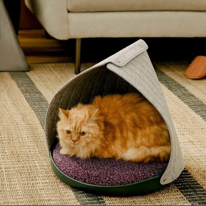 48 Must‑Have Gifts for Cat Lovers & Feline Fans: Stylish Accessories, Cozy Beds & Interactive Toys