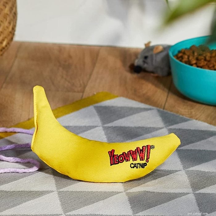 15 Proven Interactive Cat Toys That Keep Your Feline Engaged and Happy