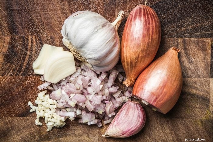 15 Common Household Foods That Are Dangerous to Cats