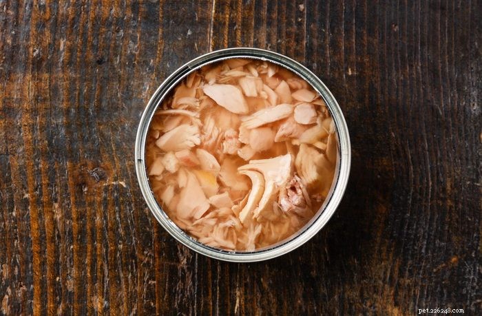 15 Common Household Foods That Are Dangerous to Cats