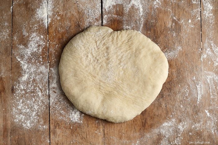 15 Common Household Foods That Are Dangerous to Cats