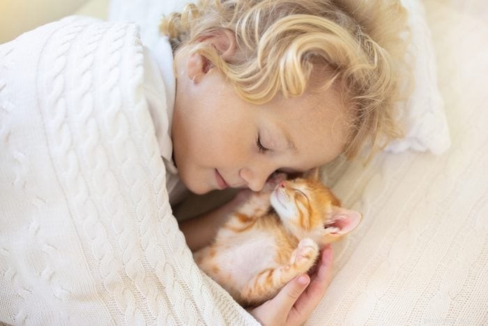 50 Adorable Photos of Kittens Sleeping Peacefully