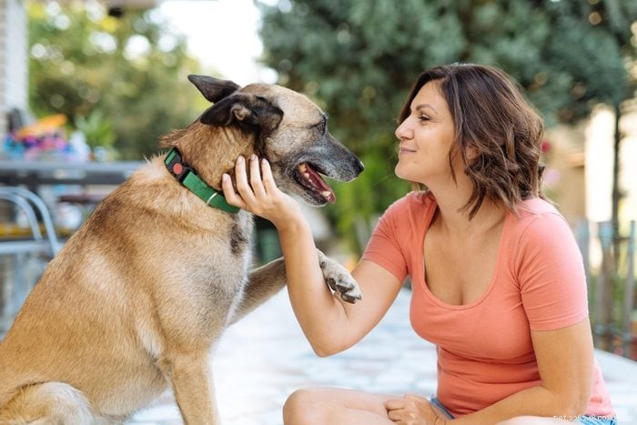 How to Pronounce 12 Popular Dog Breeds Accurately