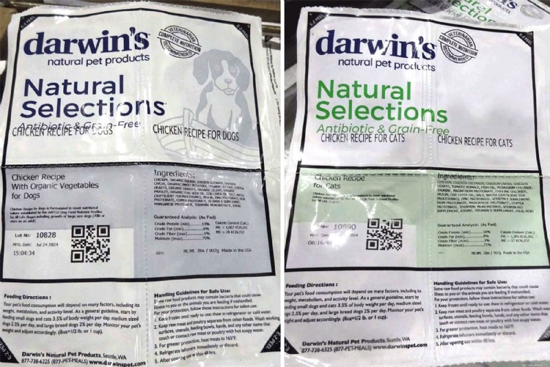 FDA Announces Major Dog Food Recalls: What Pet Owners Need to Know