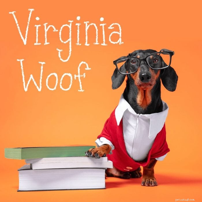 215+ Creative Dog Names That Reflect Your New Pup’s Personality