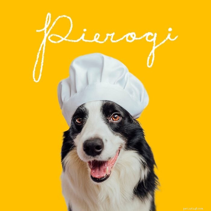 215+ Creative Dog Names That Reflect Your New Pup’s Personality