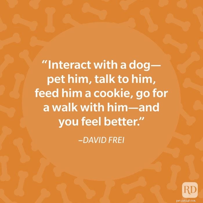 40 Heartwarming Dog Quotes That Celebrate the Unconditional Love of Our Furry Friends