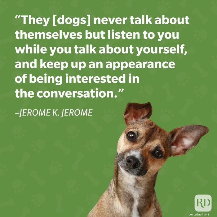 40 Heartwarming Dog Quotes That Celebrate the Unconditional Love of Our Furry Friends