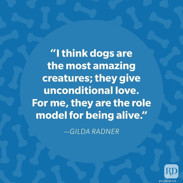 40 Heartwarming Dog Quotes That Celebrate the Unconditional Love of Our Furry Friends