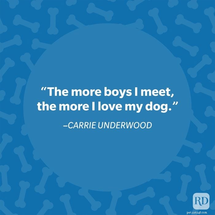 40 Heartwarming Dog Quotes That Celebrate the Unconditional Love of Our Furry Friends