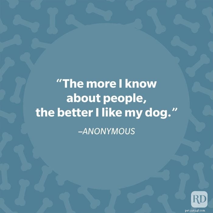 40 Heartwarming Dog Quotes That Celebrate the Unconditional Love of Our Furry Friends