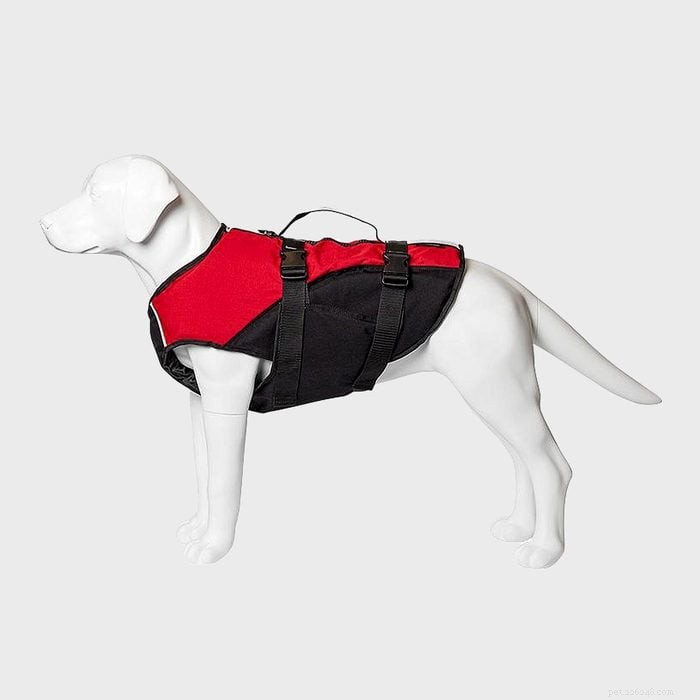 Top 6 Dog Life Jackets for Safer Water Adventures