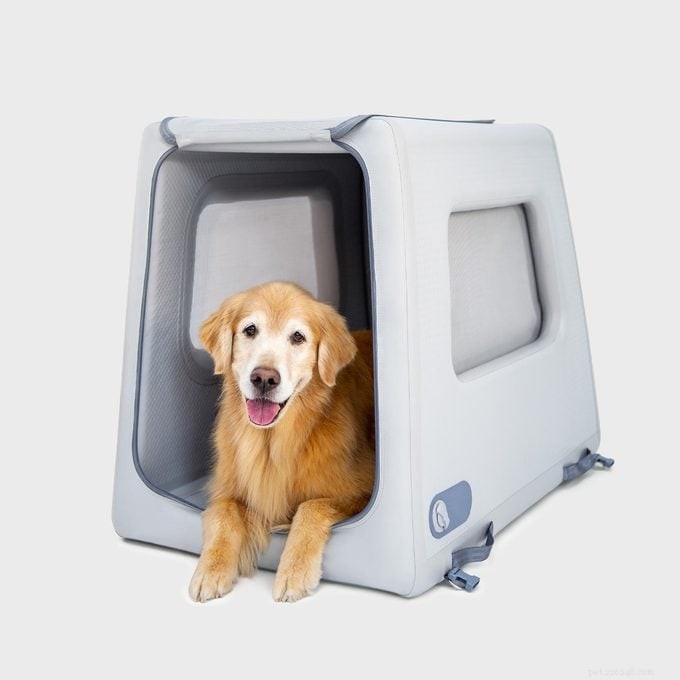 Diggs Introduces Enventur: The First Inflatable Dog Crate for Space‑Saving, Hassle‑Free Pet Travel