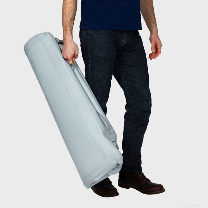 Diggs Introduces Enventur: The First Inflatable Dog Crate for Space‑Saving, Hassle‑Free Pet Travel