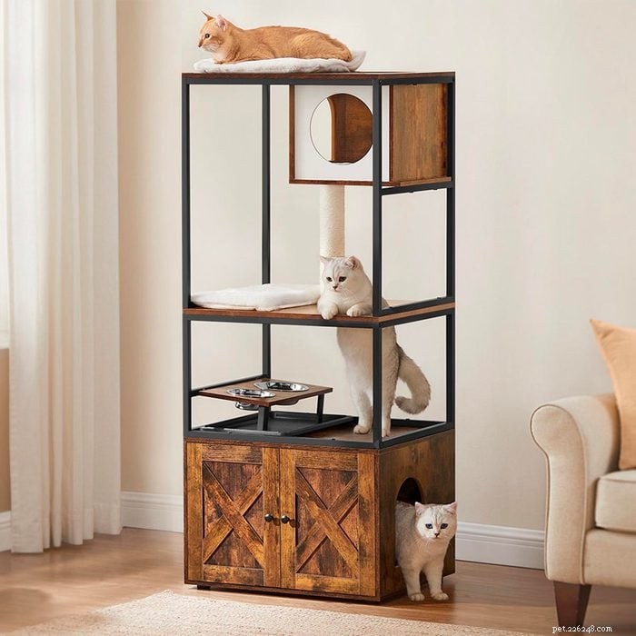 Must‑Have Wayfair Pet Essentials: 13 Products You Didn’t Know You Needed