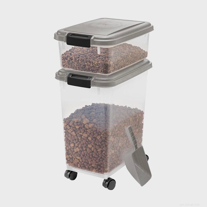 Must‑Have Wayfair Pet Essentials: 13 Products You Didn’t Know You Needed