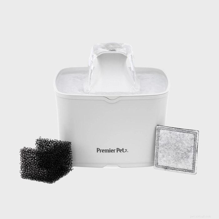 Must‑Have Wayfair Pet Essentials: 13 Products You Didn’t Know You Needed