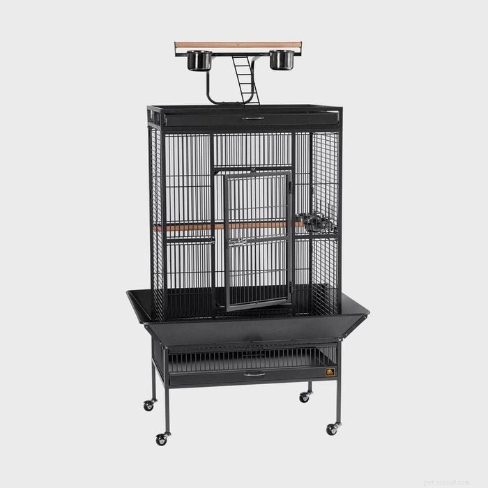 Must‑Have Wayfair Pet Essentials: 13 Products You Didn’t Know You Needed