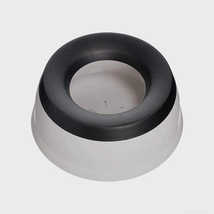 Top 6 No‑Spill Dog Bowls: Keep Your Home Spotless & Your Pup Hydrated