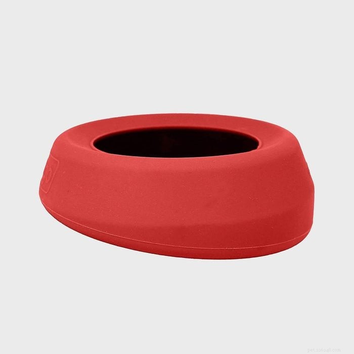 Top 6 No‑Spill Dog Bowls: Keep Your Home Spotless & Your Pup Hydrated