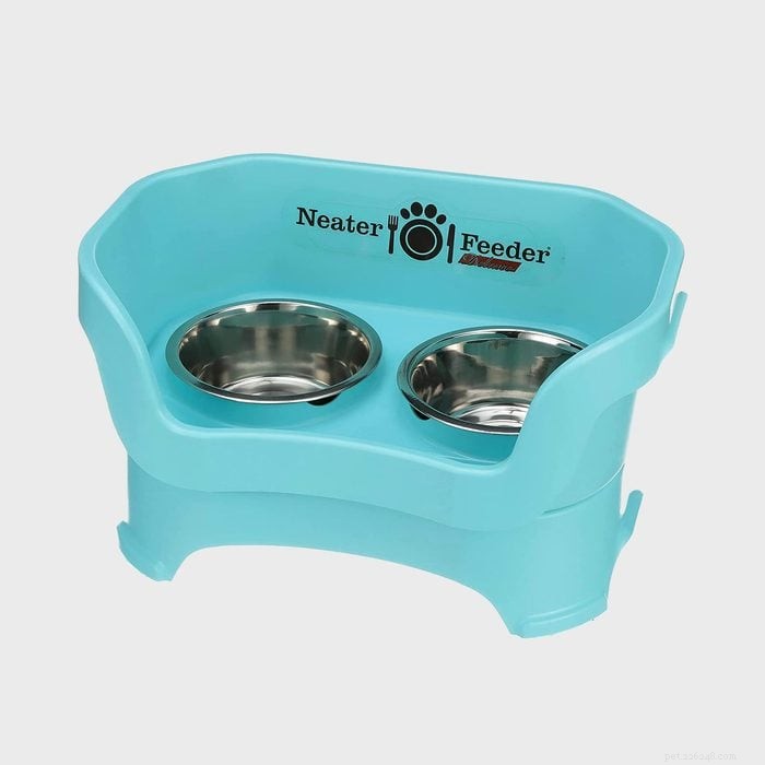 Top 6 No‑Spill Dog Bowls: Keep Your Home Spotless & Your Pup Hydrated