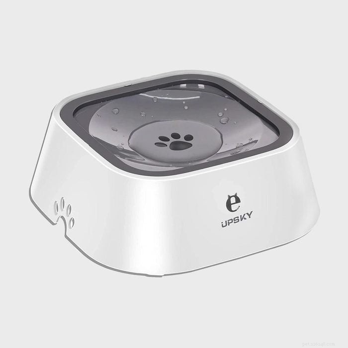 Top 6 No‑Spill Dog Bowls: Keep Your Home Spotless & Your Pup Hydrated