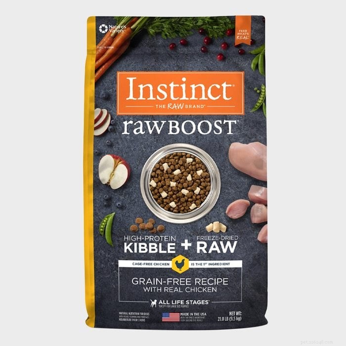 Top 8 Probiotic Dog Foods & Treats for Better Digestion – Vet‑Approved Picks