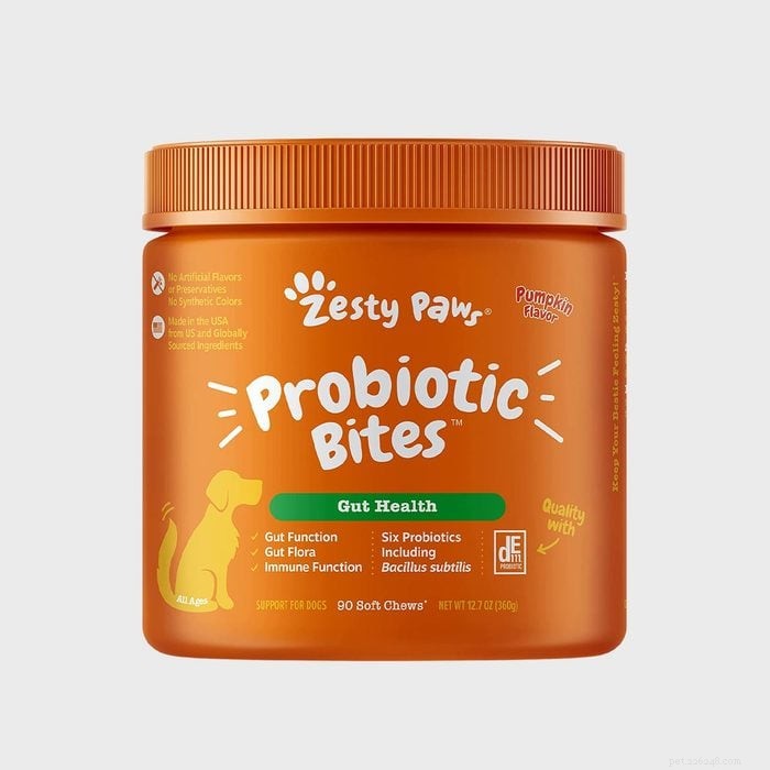 Top 8 Probiotic Dog Foods & Treats for Better Digestion – Vet‑Approved Picks
