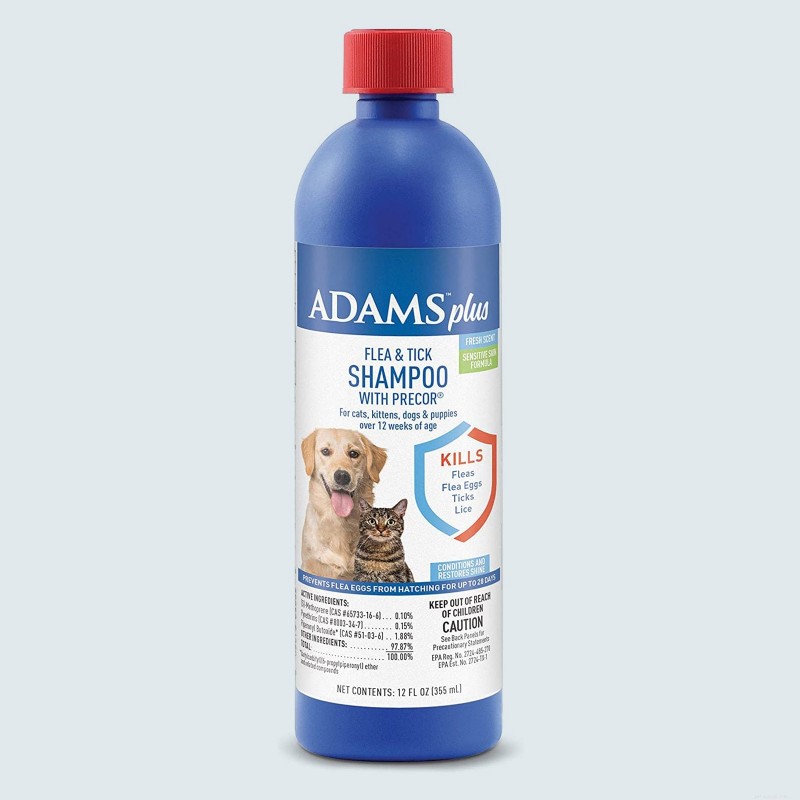 Top 11 Dog Shampoos for a Clean, Healthy Coat
