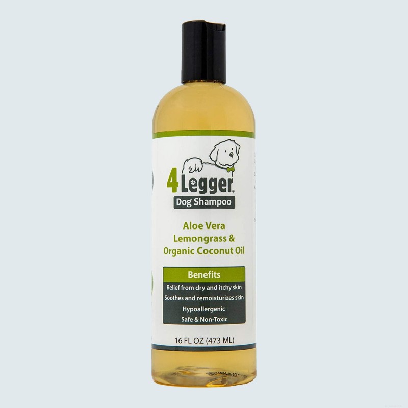 Top 11 Dog Shampoos for a Clean, Healthy Coat