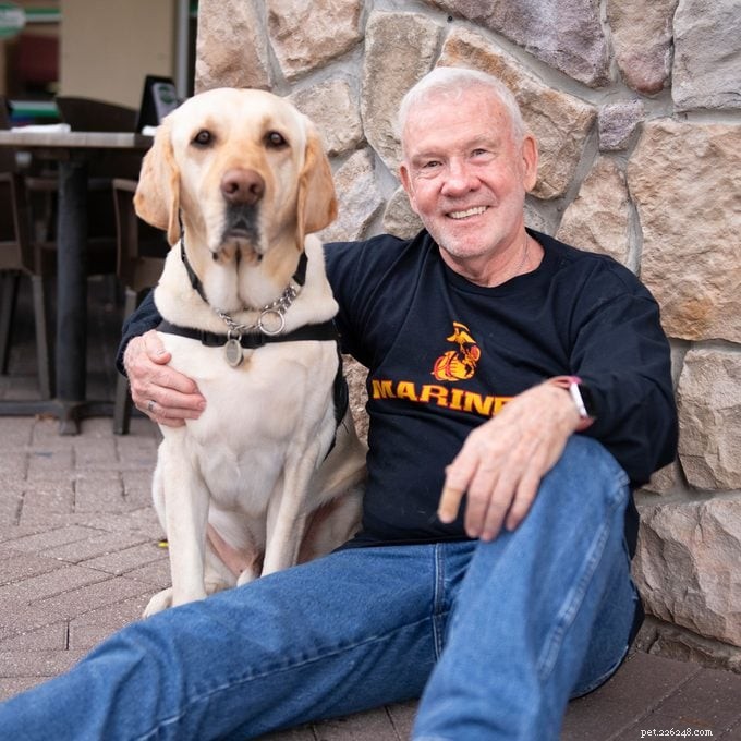 How Blue the Golden Retriever Rescued a Veteran with PTSD