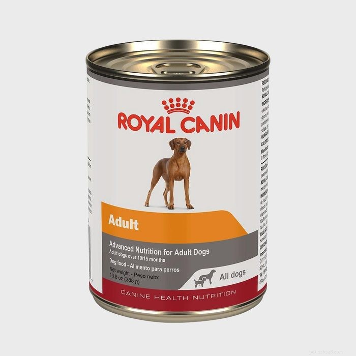 Vet‑Approved Dog Food Brands for Strong, Healthy Pets