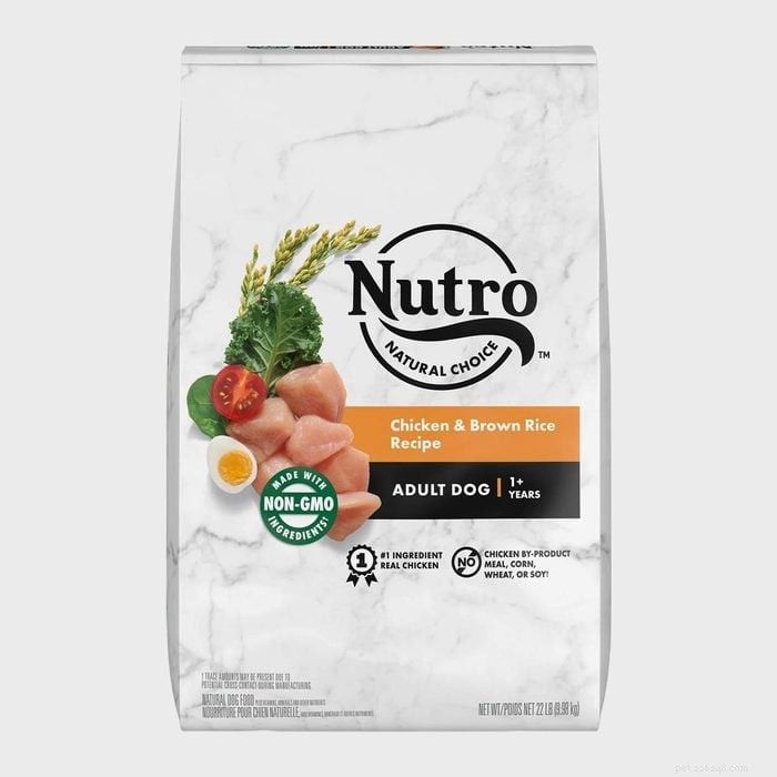 Vet‑Approved Dog Food Brands for Strong, Healthy Pets